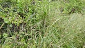 Porno en fran�ais Indian Village Girl Fucked in Jungle by Friend's Sister