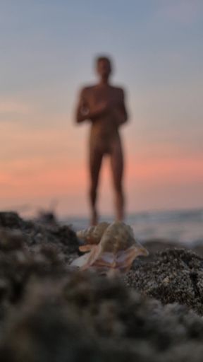 Looking for shells