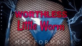 Worthless Little Worm (HD) MP4