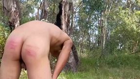 Spanking Stories 321