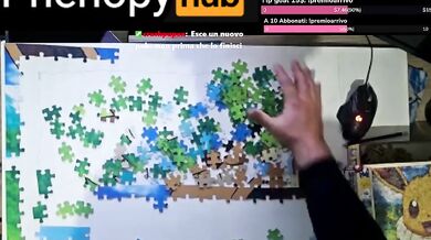 Eevee Puzzle, 4 hour in 10 minutes