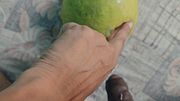 A Horny Fit  Guy Dig a Juicy Melon Badly, Made It's hole lose . Huge  Moaning  Until Cum On It