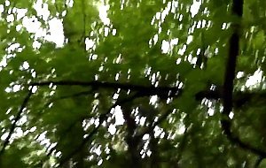 old man suck my cock (in the park)
