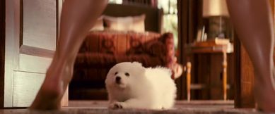 Sandra Bullock - sex scenes in `The Proposal`