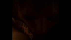 trim.7927C3BD-9B1D-4333-9DCF-C0930AC77AB3.MOV