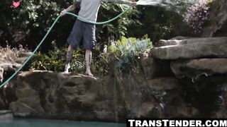 Shemale wife's employee gets a facial cum surprise