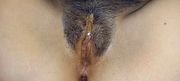 Teodora romania nou 28 - pornohub