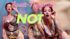 You Are Not Gay - WHORED OUT