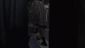 Naughty Japanese hottie deepthroats her lover's cock in the toilet