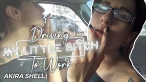 Driving My Little Bitch To Work (Re-Mastered) (UHD WMV)