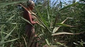 street and nylon pisser jasmine rouge