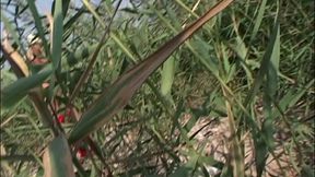 street and nylon pisser jasmine rouge