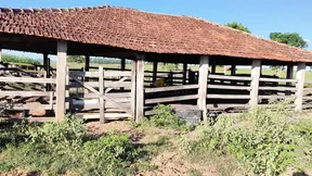 Farm Slut Gets Screwed By Cowboy In Nasty Outdoor Sex