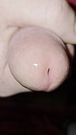 Beautiful cock cums in your mouth