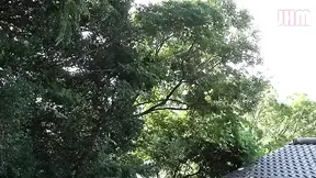 Adulterous Desire a Married Woman�s Secret Record 3