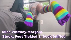 Whitney Morgan: Stuck, Foot Tickled, Sock Sniffed mp4