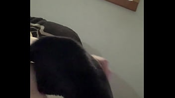 Infamous1182 - update #4 - IMG 0929 - Dec 16, 2023