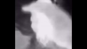 Thermal vision of a dick