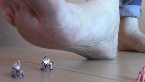 Giantess Destroys Neighborhood BBQ