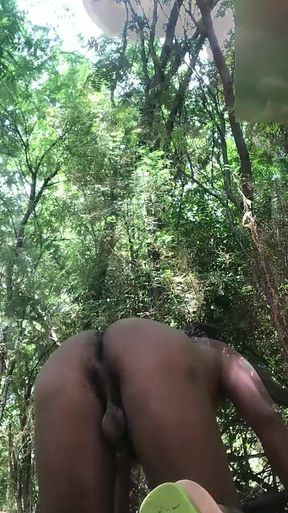 Video 223 Do You Like the Woods as Much as We Do?