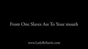 From One Slave's Ass to Your Mouth