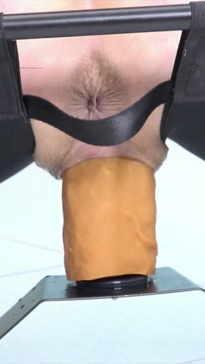 A Compilation of the Adventures of the Blue in Me, as Well as Prolapses, Squirts and One Chair