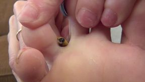 Makayla Enjoys Her New Tiny Pet!
