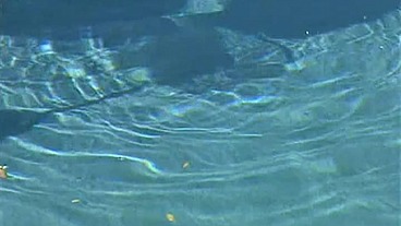 Sinderella Enjoys Anal Sex Next to the Swimming Pool