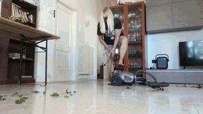 Regular cleaning in flip-flops, part 1 AVI