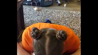 Intense orale performance van Velma Cosplay Girl