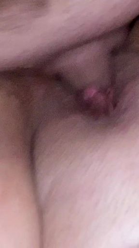 Creampie From My Bull