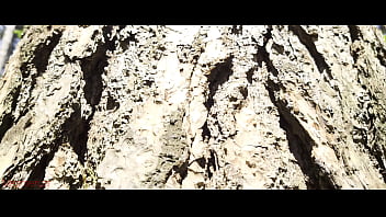 Mesmeriza 23 01 MOV CINEMA CLIP 325 326 327 20240814141600562