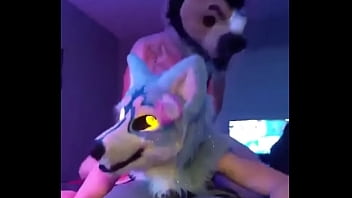 Fursuiter gets fucked in a room full of people