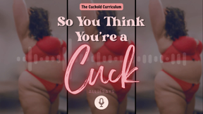 So You Think You