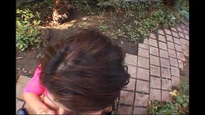 POLE POSITION LEX POV 3