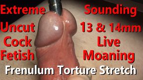 Extreme 13mm &amp; 14mm Sounding Close-up Fetish Frenulum Torture Live moaning