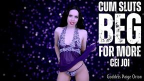 Cum Sluts Beg for More CEI JOI