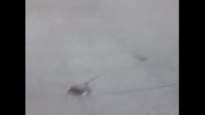 Minha irm&atilde_ se masturbando no banheiro kkk zoei muito ela