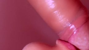 Japanese HomeStay Experience