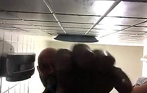Urso  novinho no reservado do banheiro