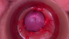 Camera in Vagina, Cervix POV, Creampie