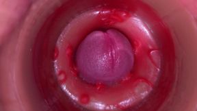 Camera in Vagina, Cervix POV, Creampie