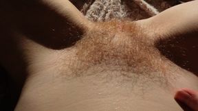 Shows you my ginger bush from my POV