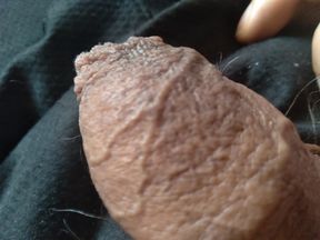 Monster cock excited to fuck hard