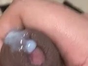 horny chub cock compilation