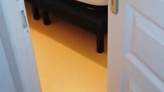 French hubby records his cheating wife and strokes cock