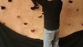 Troia in palestra
