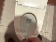 綺麗な商業施設のトイレでオナニーしたよ、でもスマホで録画するとオカズなくなって困った