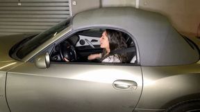 Felony traffic stop for Meelina