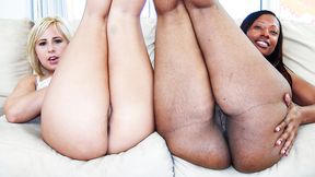 ”Ebony & White Asses Banged Hard”